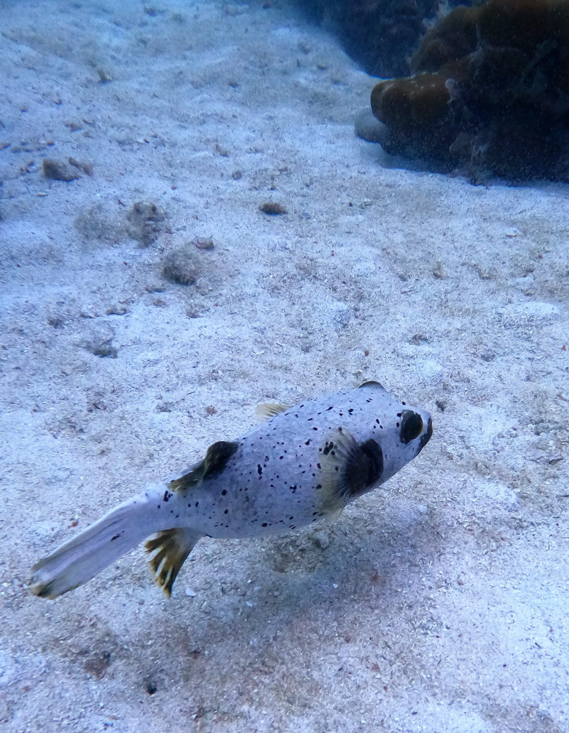 mar de andaman