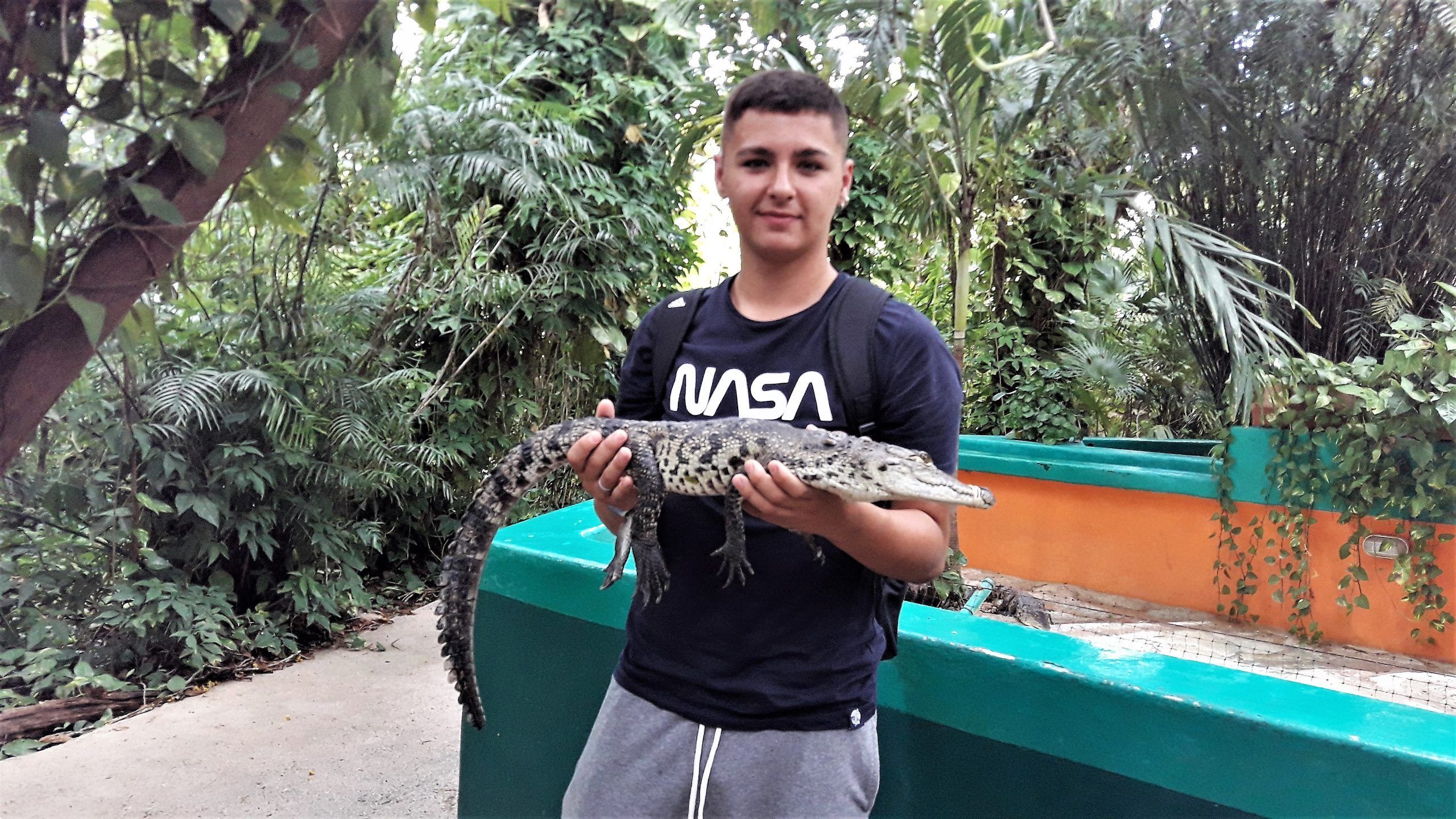 Cocodrilo