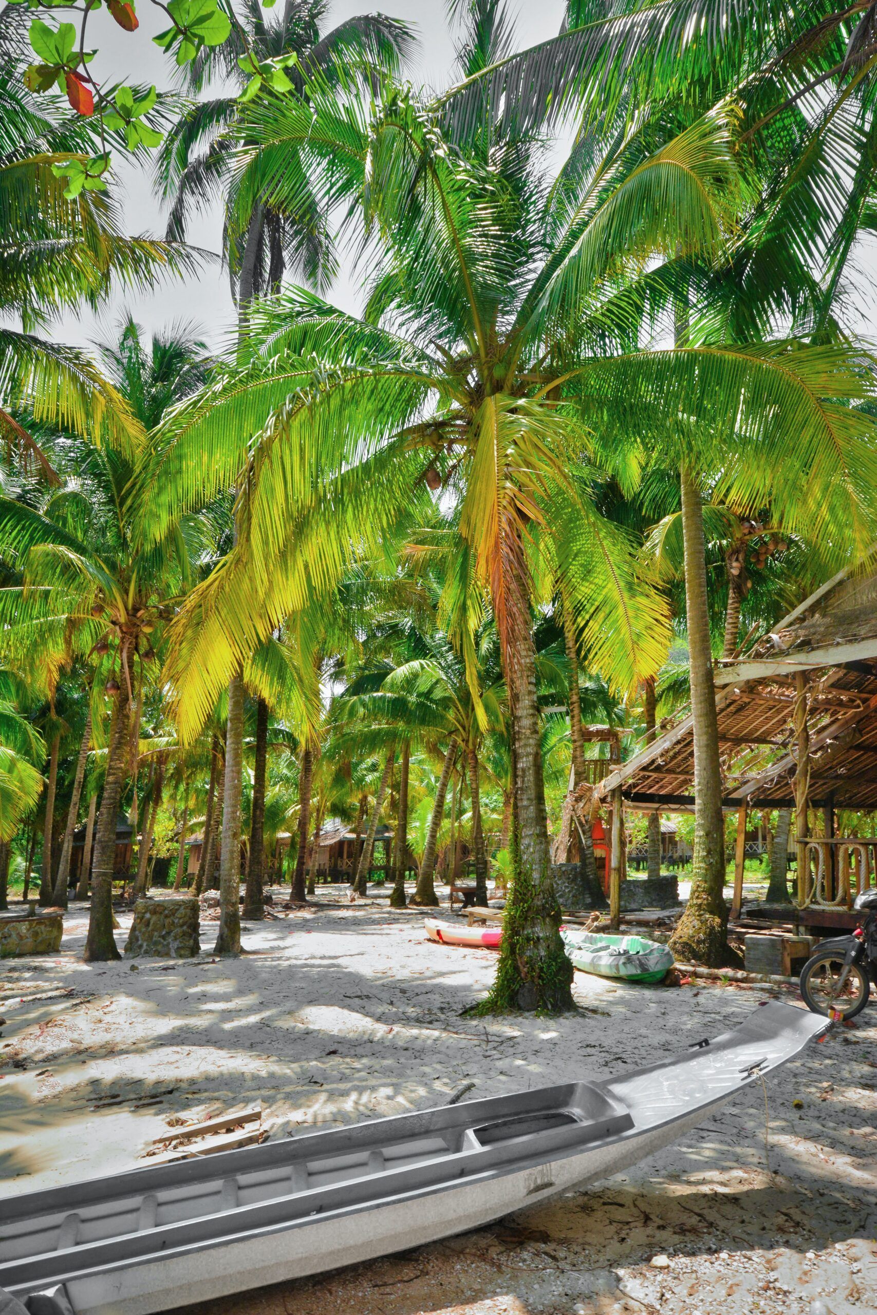 Koh lipe