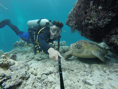 buceo