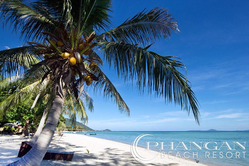 hotel koh phangan