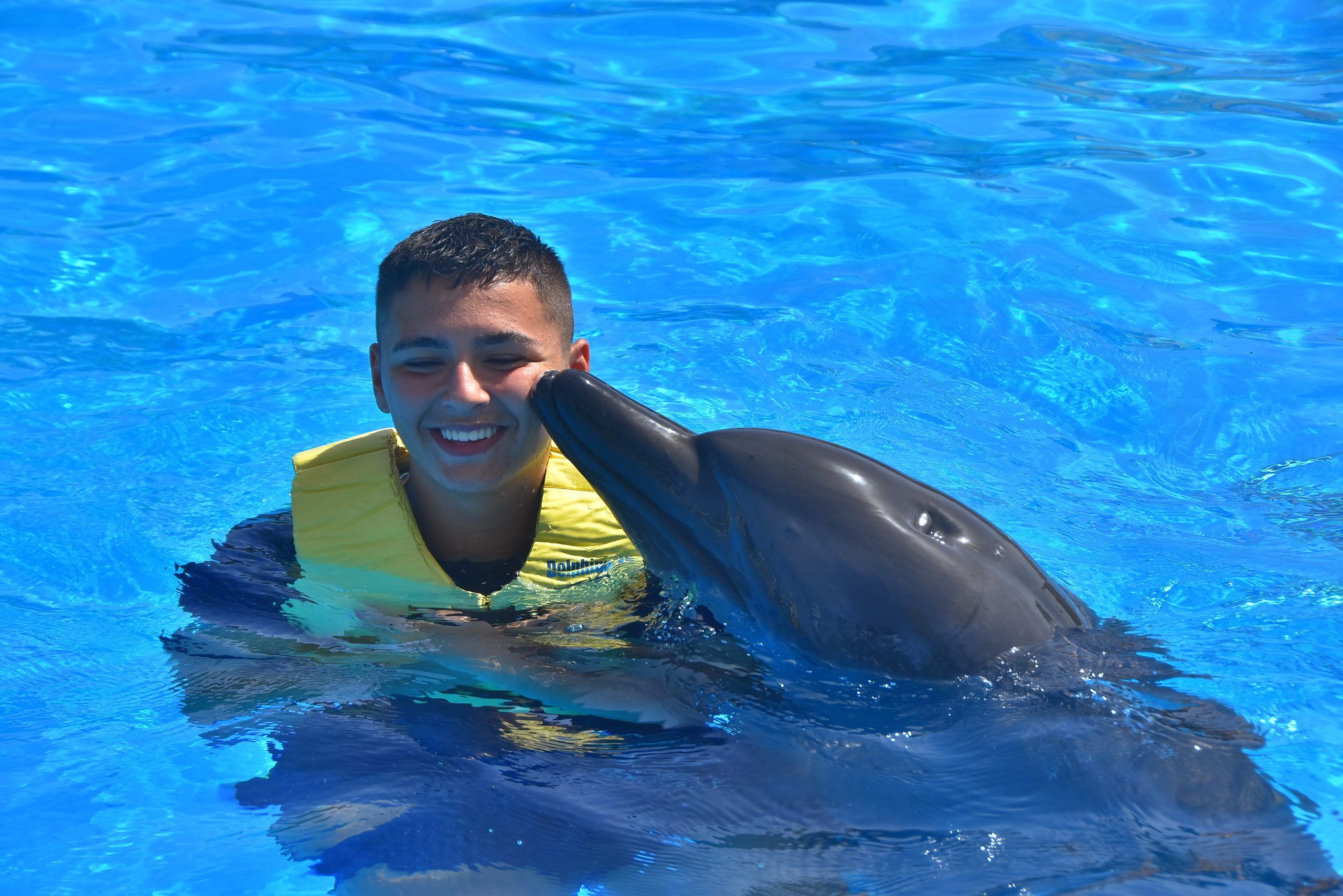 delfines