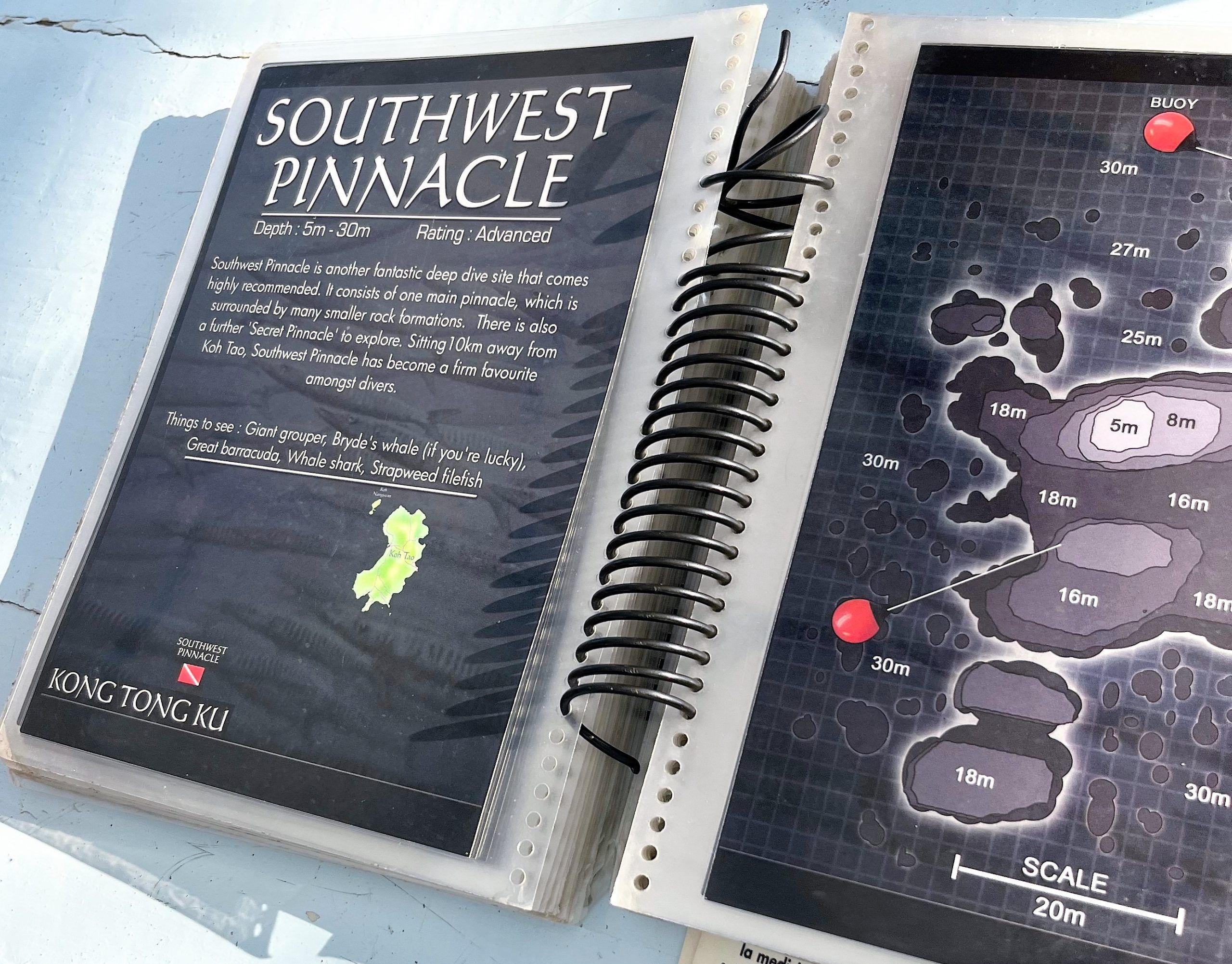 South West Pinnacle