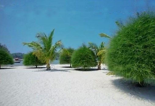 playa malibú