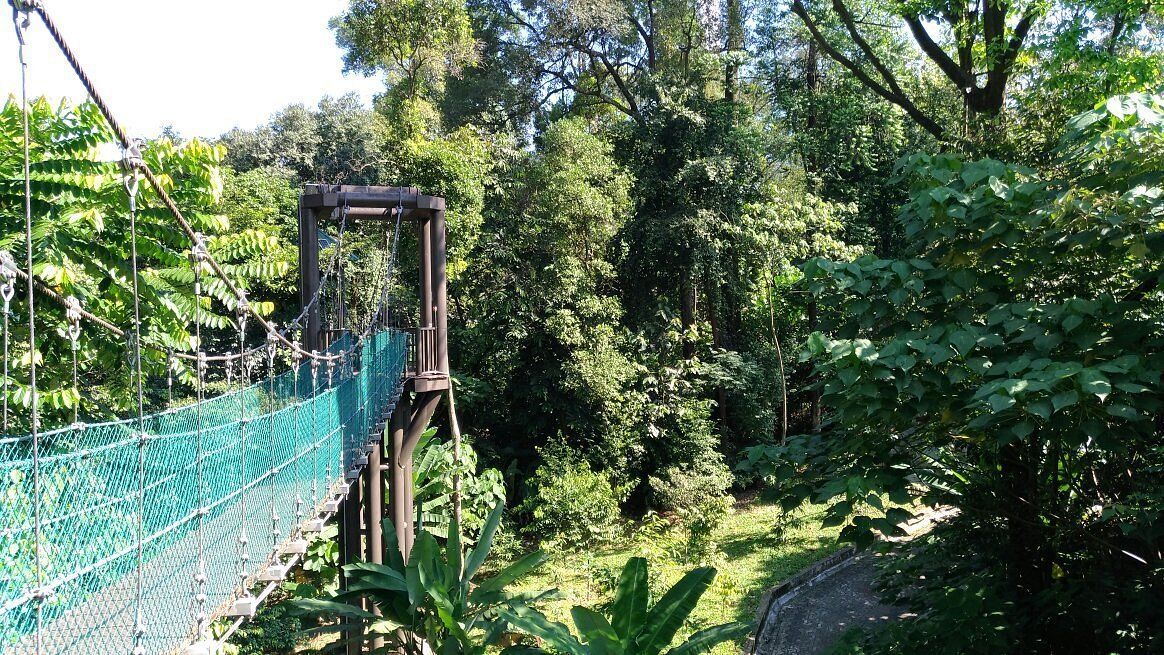 KL Forest Eco Park