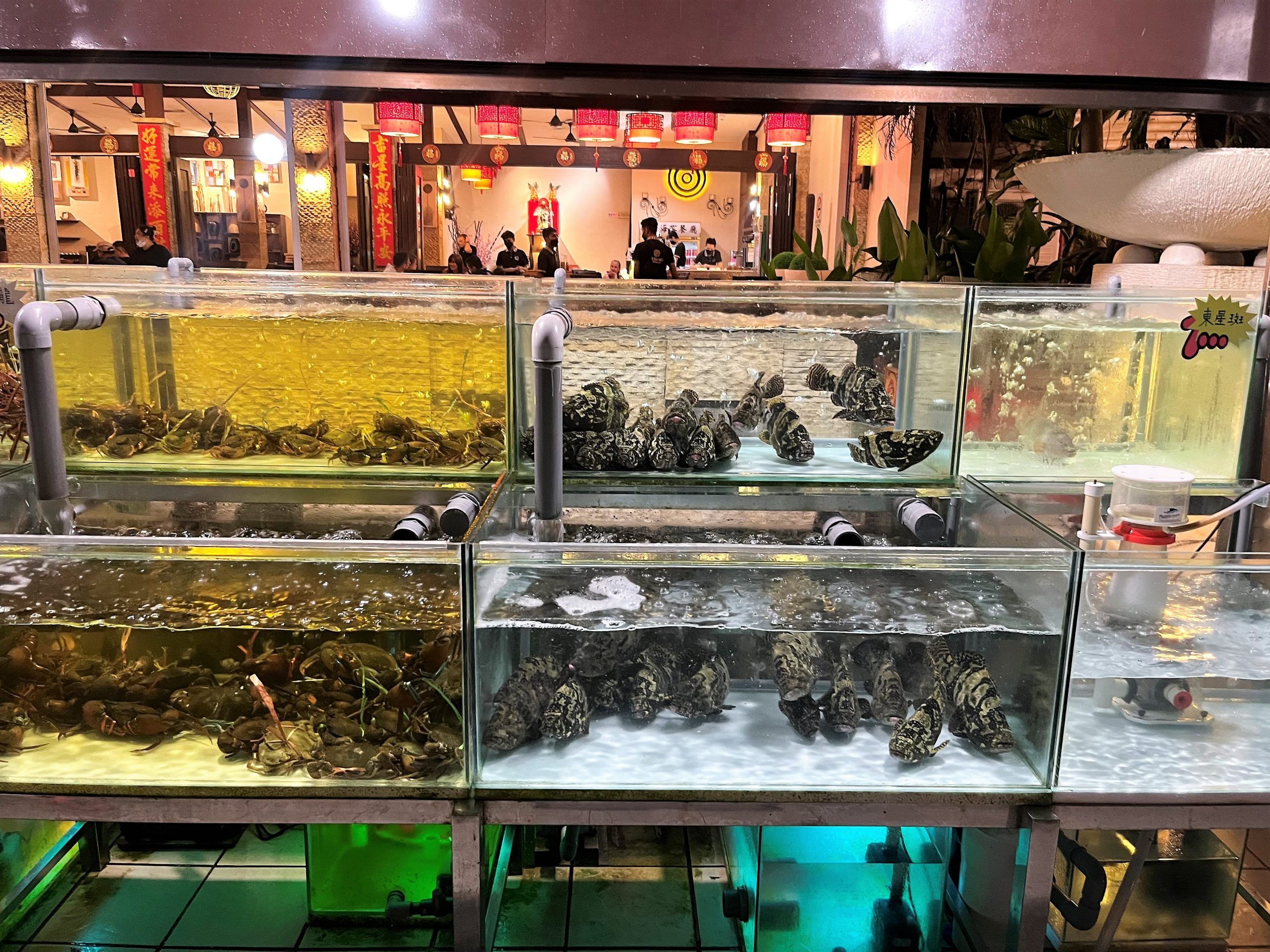 Langkawi en 2 días