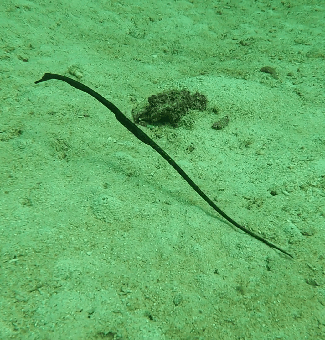 mar de andaman